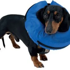 Buster Inflatable Collar