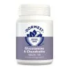 Dorwest Glucosamine & Chondroitin Tablets (pack Of 100)
