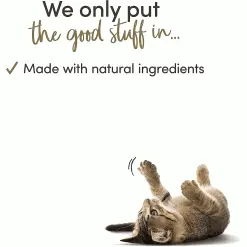 Applaws Natural Cat Food Mixed Selection In Jelly -Deals Dog Food Store applaws cat mixed select3 40227.1666186319