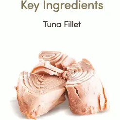 Applaws Natural Cat Food Tins Tuna Fillet In Gravy 70g X 24 -Deals Dog Food Store applaws cat tuna gravy70g3 51260.1667820142