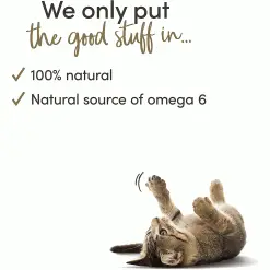 Applaws Natural Cat Food Tins Tuna Fillet In Gravy 70g X 24 12 Applaws Natural Cat Food Tins Tuna Fillet In Gravy 70g X 24 -Deals Dog Food Store applaws cat tuna gravy70g4 52696.1667820146