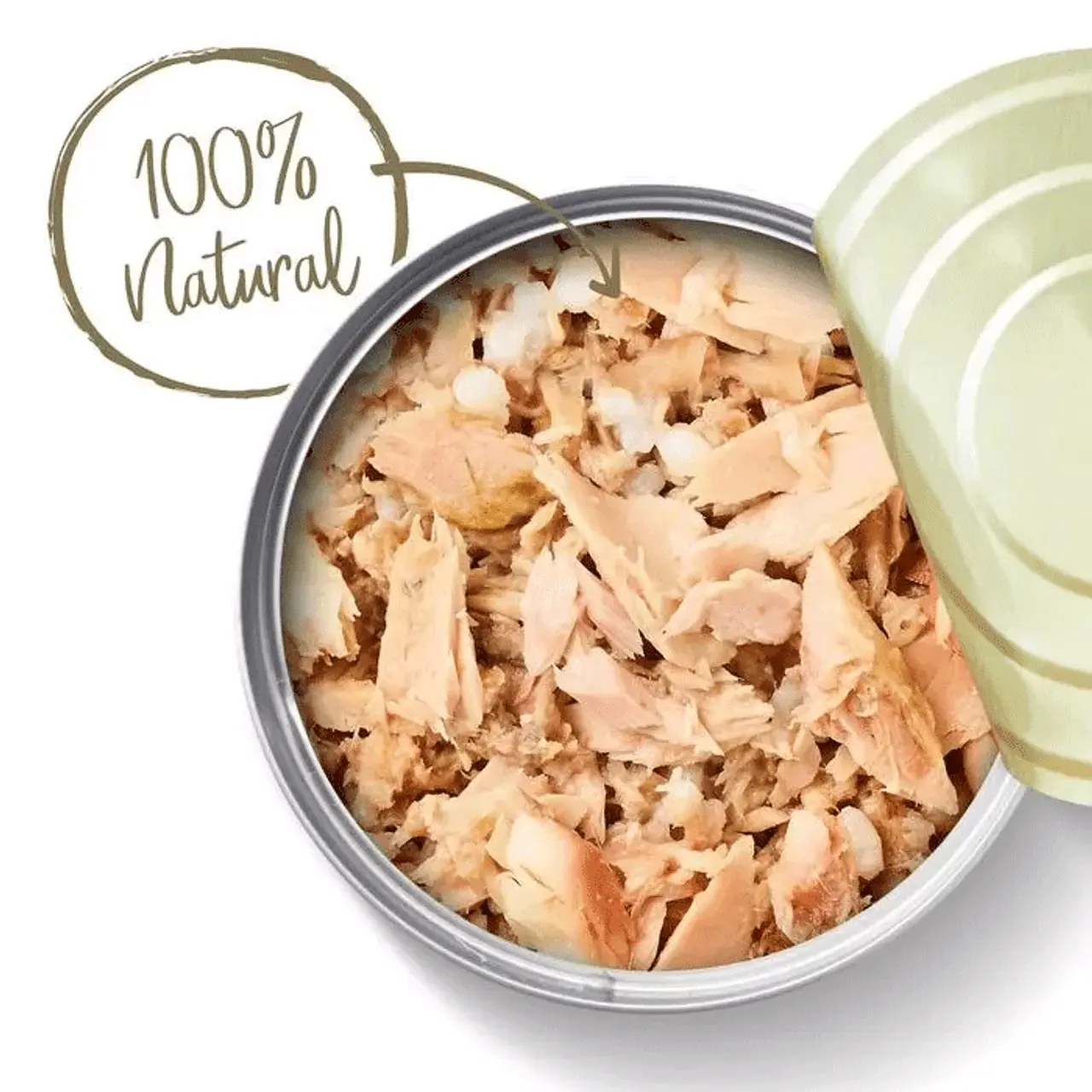 Applaws Natural Cat Food Tins Ocean Fish 24 X 70g 10 Applaws Natural Cat Food Tins Ocean Fish 24 X 70g - Image 8