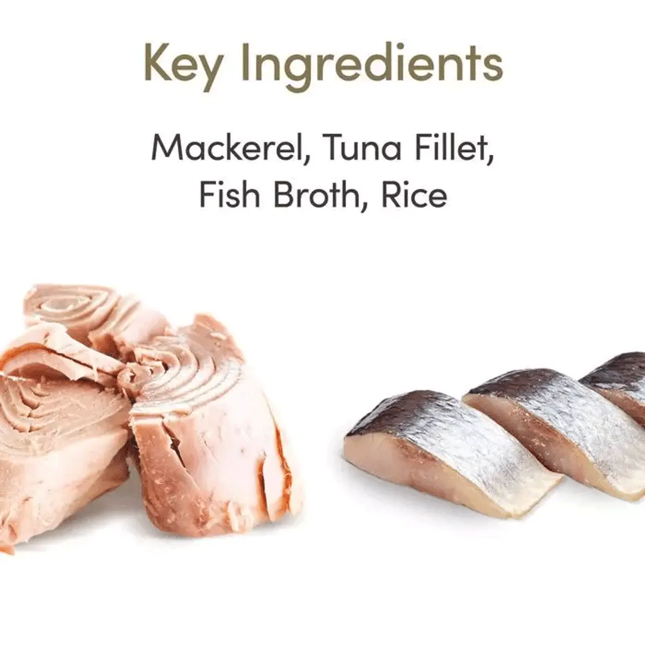 Applaws Natural Cat Food Tins Ocean Fish 24 X 70g 11 Applaws Natural Cat Food Tins Ocean Fish 24 X 70g - Image 9