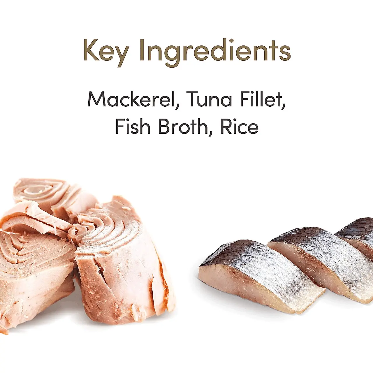 Applaws Natural Cat Food Tins Ocean Fish 24 X 70g 6 Applaws Natural Cat Food Tins Ocean Fish 24 X 70g - Image 4