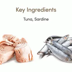 Applaws Natural Cat Food Tins Senior Tuna & Sardines 70g X 24 10 Applaws Natural Cat Food Tins Senior Tuna & Sardines 70g X 24 -Deals Dog Food Store applaws senior tuna sardine cat70g2 72655.1686655403