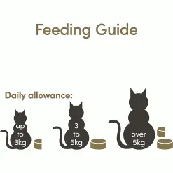 Applaws Natural Cat Food Tins Tuna Fillet 24 X 156g 75 Applaws Natural Cat Food Tins Tuna Fillet 24 X 156g -Deals Dog Food Store applaws tuna broth156g5 52078.1687173880