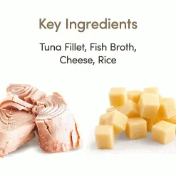 Applaws Natural Cat Food Tins Tuna Fillet 24 X 156g 48 Applaws Natural Cat Food Tins Tuna Fillet 24 X 156g -Deals Dog Food Store applaws tuna cheese cat156g3 94089.1686669772 1