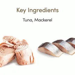 Applaws Natural Cat Jelly Pouches Tuna & Mackerel 70g X 16 11 Applaws Natural Cat Jelly Pouches Tuna & Mackerel 70g X 16 -Deals Dog Food Store applaws tuna mackerel jelly70g2 93738.1687173725