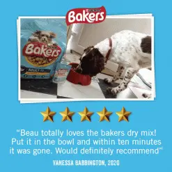 Bakers Complete Adult Dog Chicken & Country Vegetables -Deals Dog Food Store bakers adult chicken5 98600.1675718946