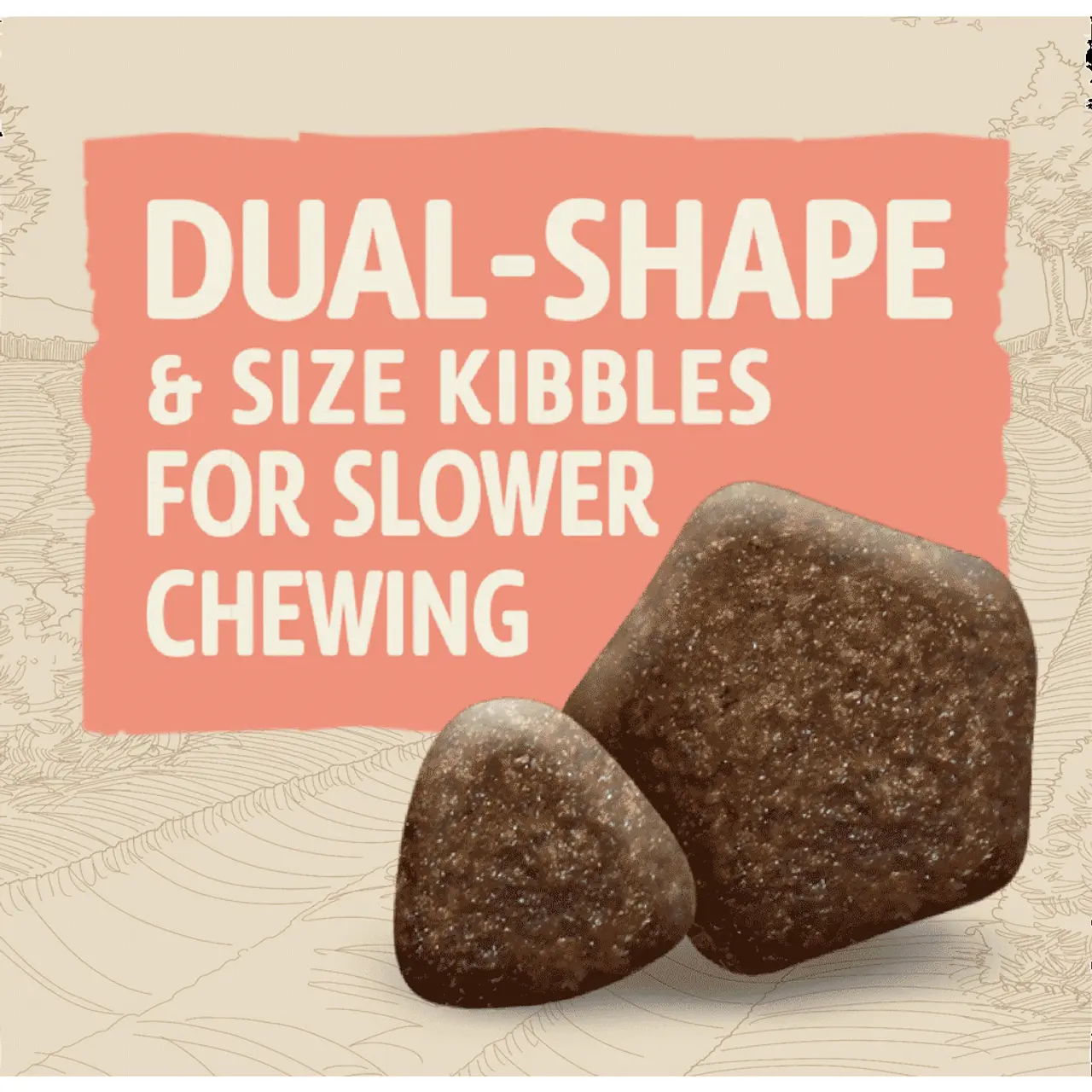 Beta Adult Working Dog With Chicken 6 Beta Adult Working Dog With Chicken - Image 4