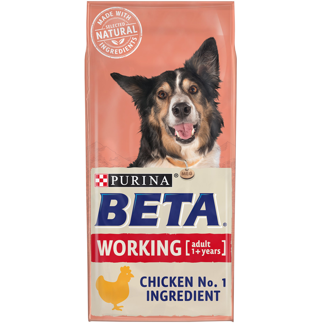 Beta Adult Working Dog With Chicken 3 Beta Adult Working Dog With Chicken