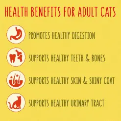 Go Cat Adult Cat Food With Chicken And Duck -Deals Dog Food Store go cat adult chicken3 82585.1680012695