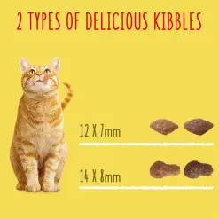 Go Cat Adult Cat Food With Chicken And Duck -Deals Dog Food Store go cat adult chicken5 65304.1680012704