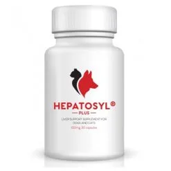 VSL Laboratories Hepatosyl Plus 100mg Capsules (pack Of 30)