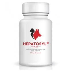 VSL Laboratories Hepatosyl Plus 200mg Capsules (pack Of 60)