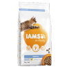 IAMS For Vitality Dental Cat Food With Fresh Chicken -Deals Dog Food Store iams vitality dental chicken 38234.1677250754