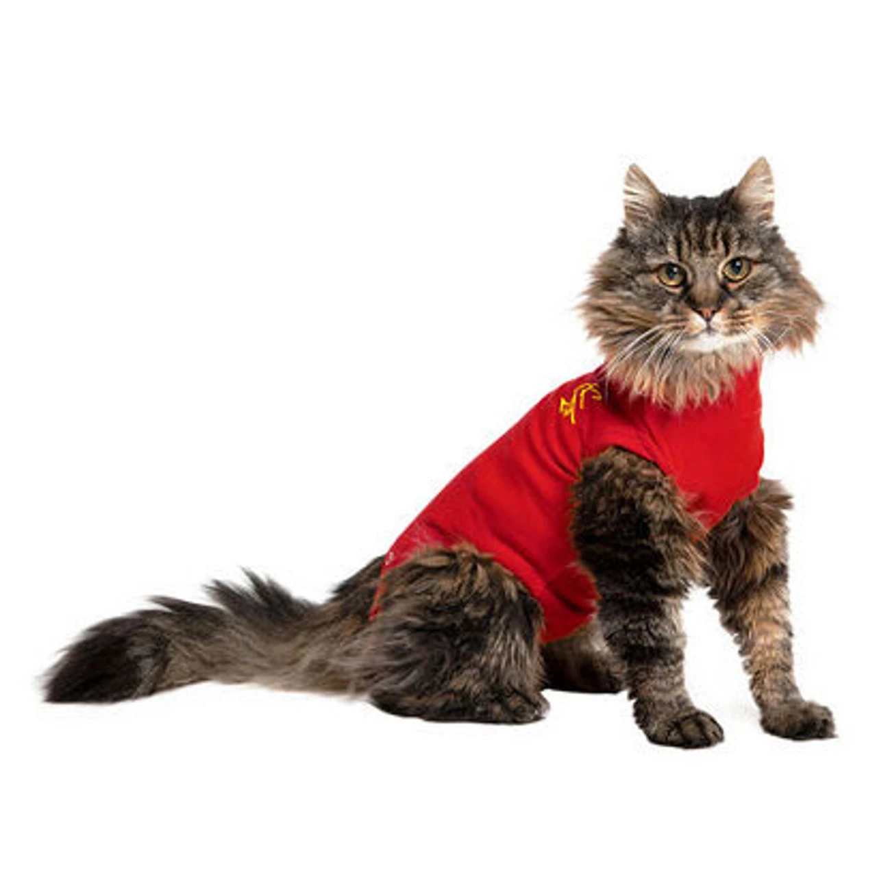 MPS Medical Pet Shirt Cat Red 3 MPS Medical Pet Shirt Cat Red