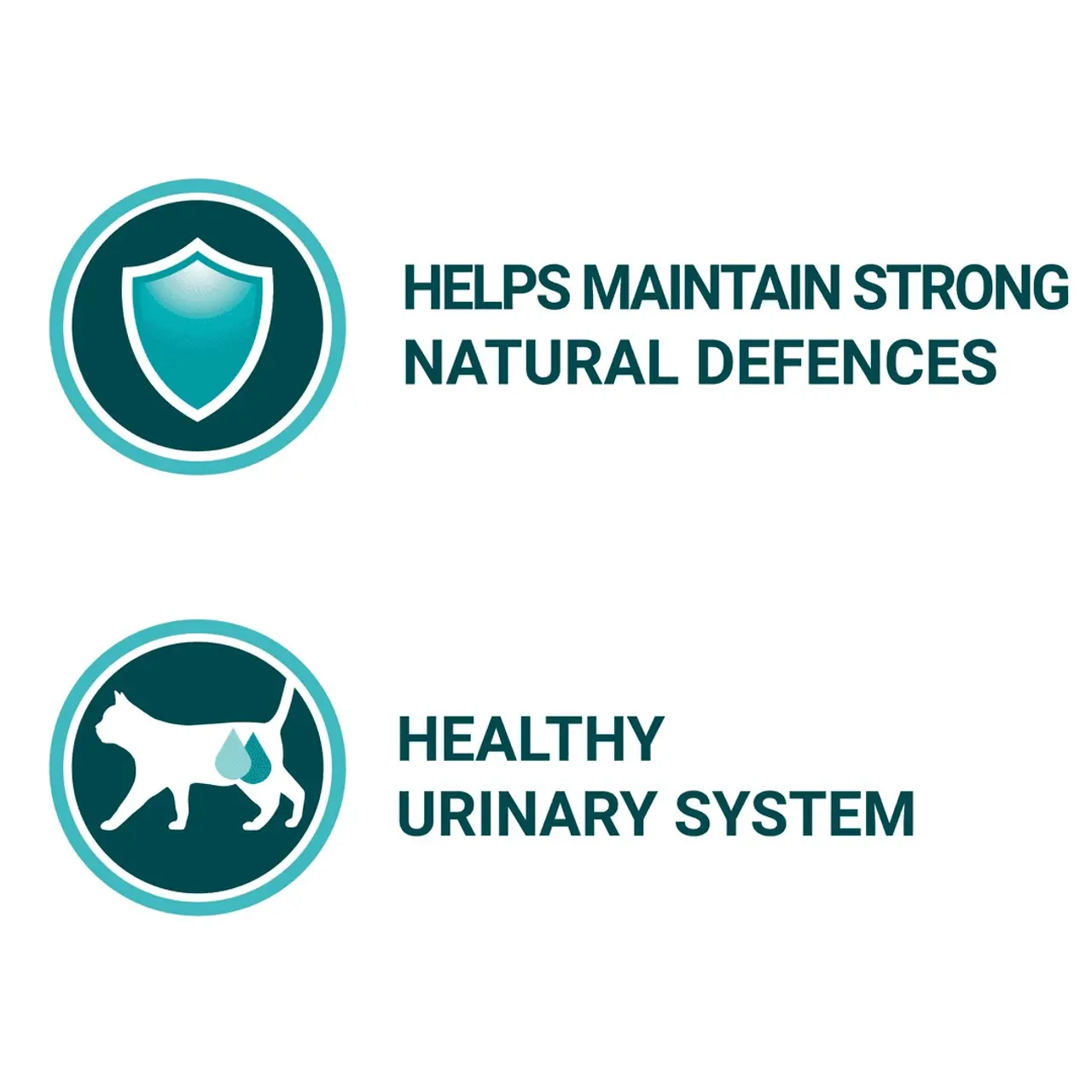 Purina ONE Adult Cat Mini Fillets In Gravy 4 Purina ONE Adult Cat Mini Fillets In Gravy - Image 2