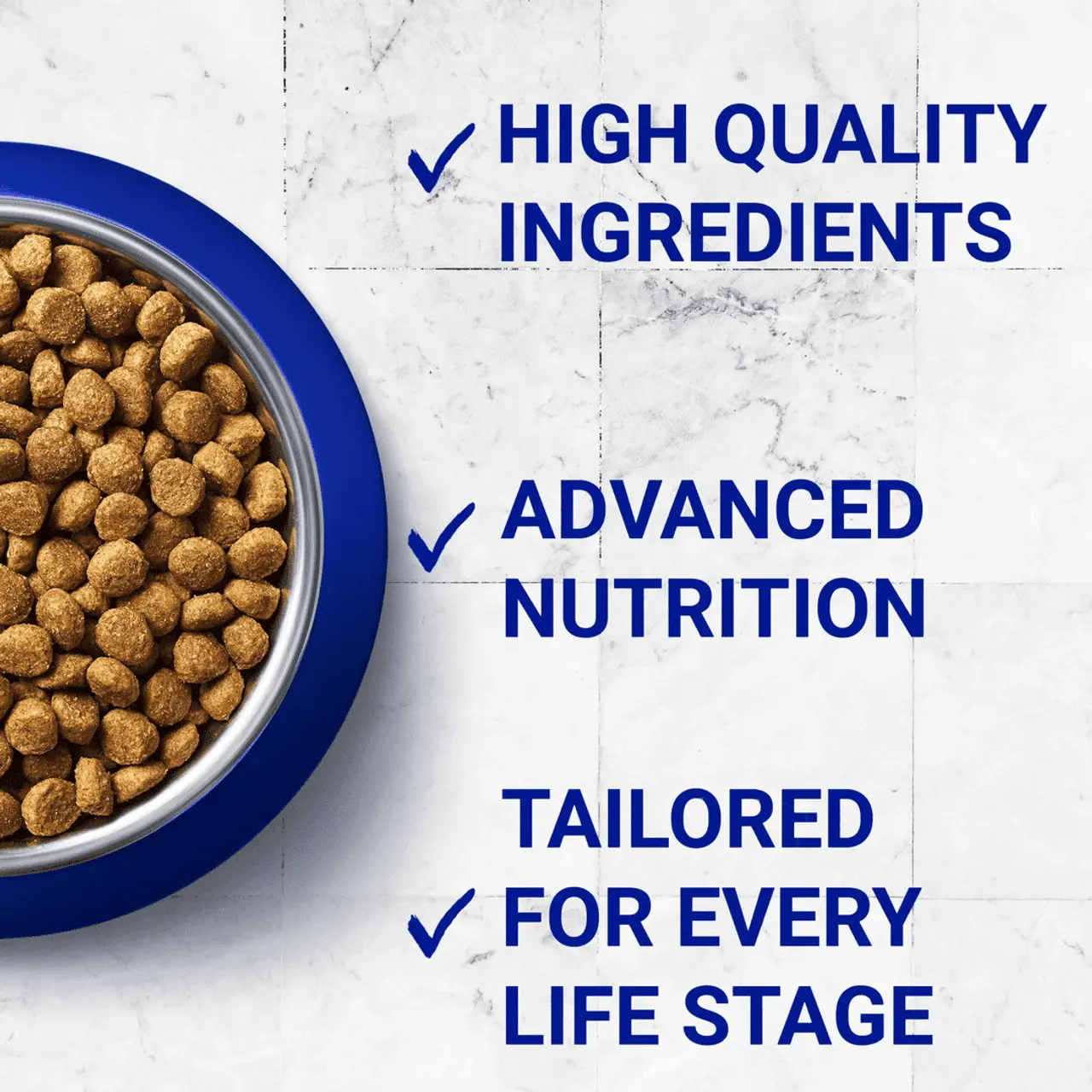 Purina ONE Adult Cat Mini Fillets In Gravy 5 Purina ONE Adult Cat Mini Fillets In Gravy - Image 3