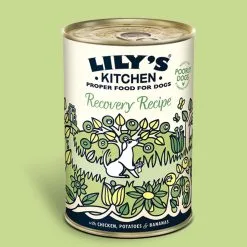 Lilys Kitchen Lily's Kitchen Recovery Recipe For Dogs 6 X 400g