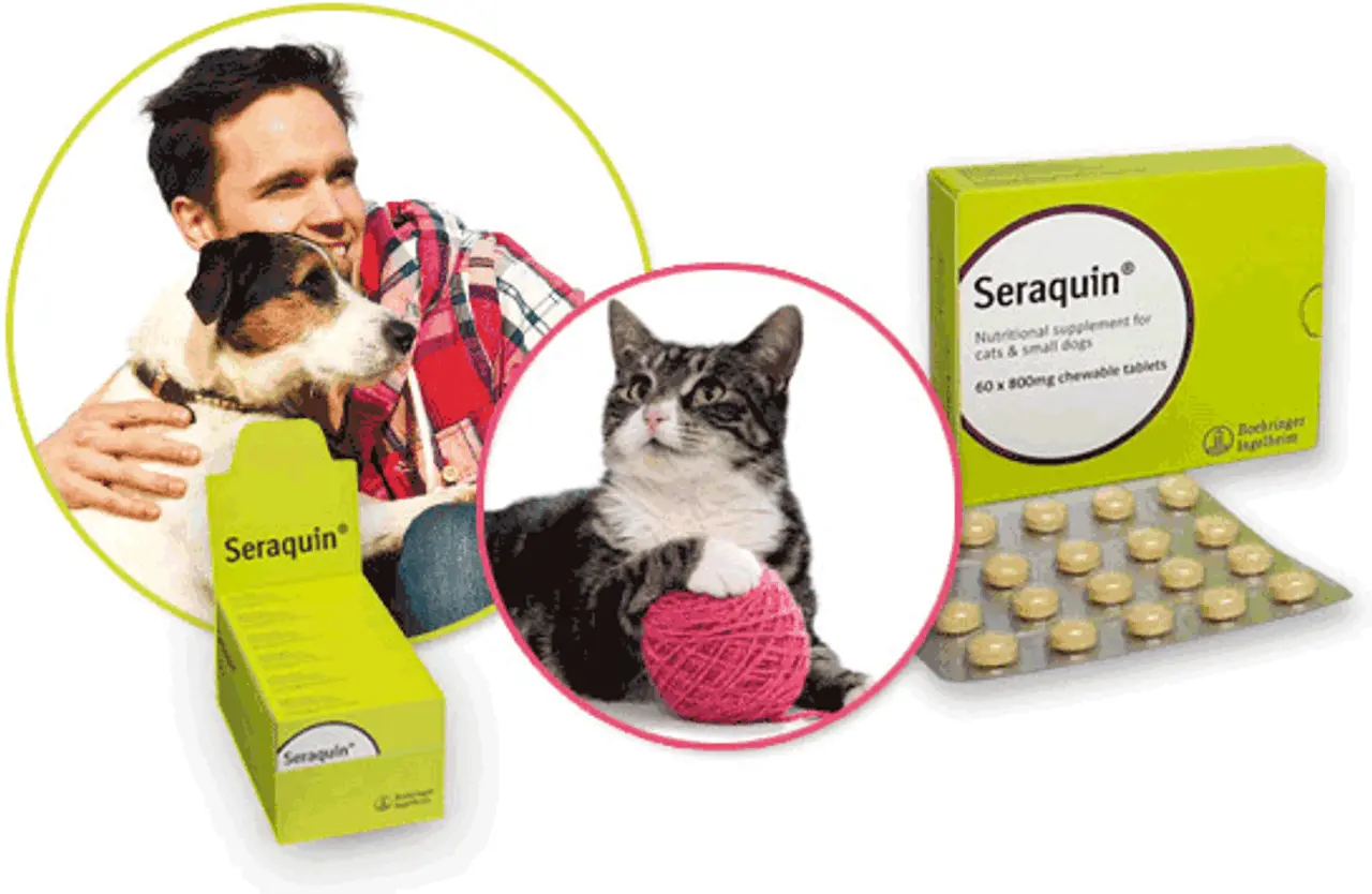 Seraquin Tablets 2g For Dogs 4 Seraquin Tablets 2g For Dogs - Image 2