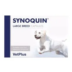 Synoquin Large Breed Capsules (pack Of 120) For Dogs Over 25kg
