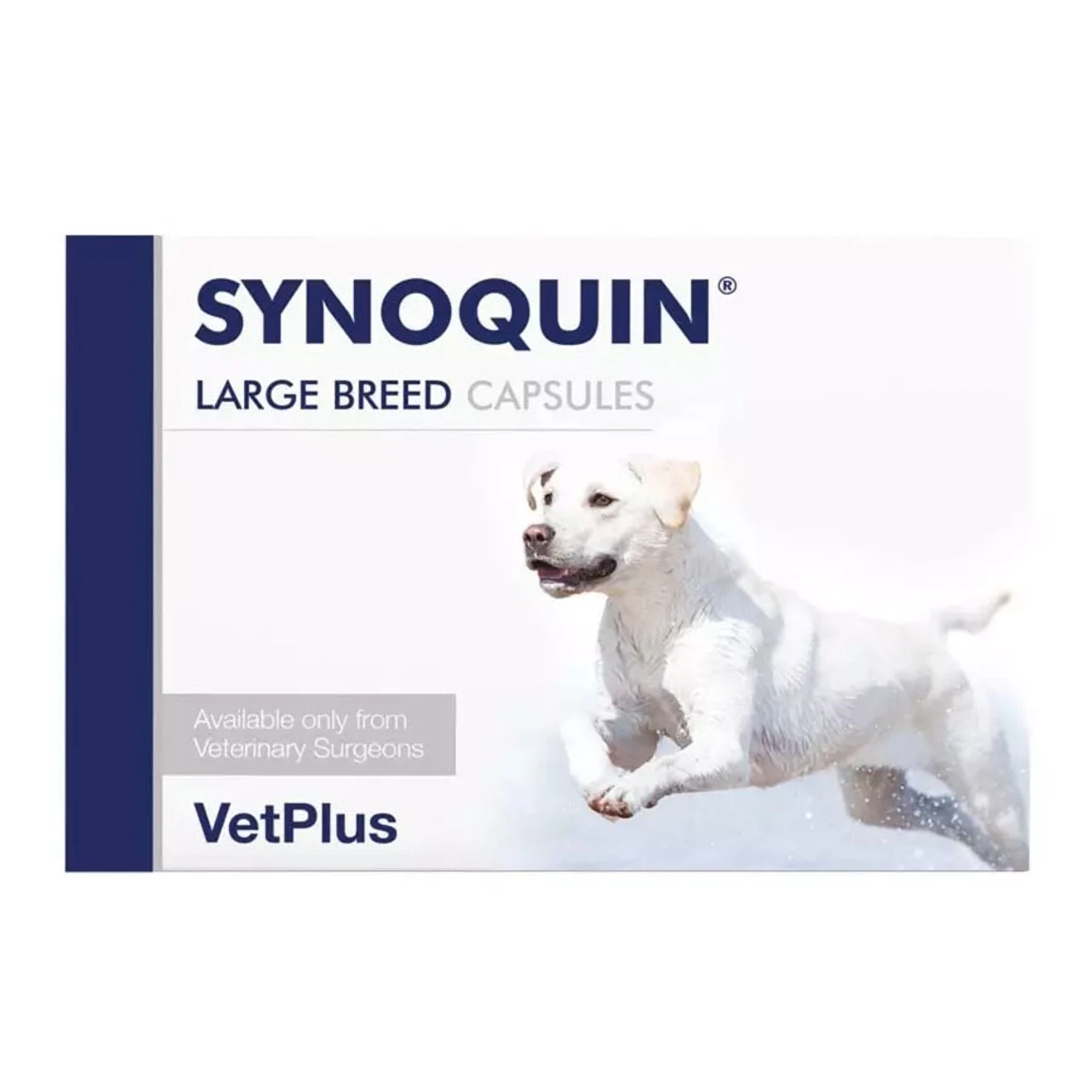 Synoquin Large Breed Capsules (pack Of 120) For Dogs Over 25kg 3 Synoquin Large Breed Capsules (pack Of 120) For Dogs Over 25kg