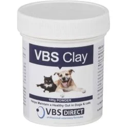 VBS Clay 100g