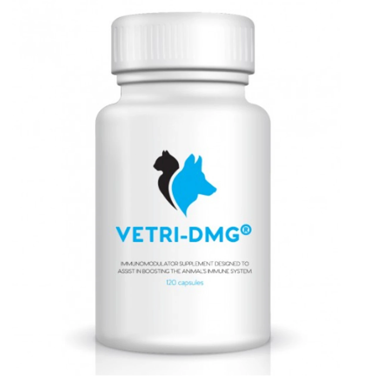 VSL Laboratories Vetri DMG Capsules 125mg (pack Of 120) 3 VSL Laboratories Vetri DMG Capsules 125mg (pack Of 120)