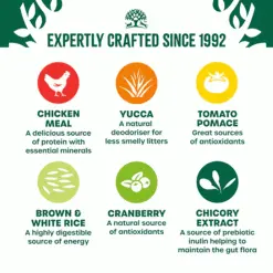 James Wellbeloved Senior Chicken Dry Cat Food 1.5kg -Deals Dog Food Store wellbeloved senior cat chicken3 29326.1664188152