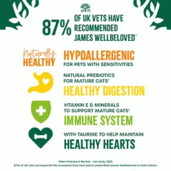 James Wellbeloved Senior Chicken Dry Cat Food 1.5kg -Deals Dog Food Store wellbeloved senior cat chicken5 73385.1664188160