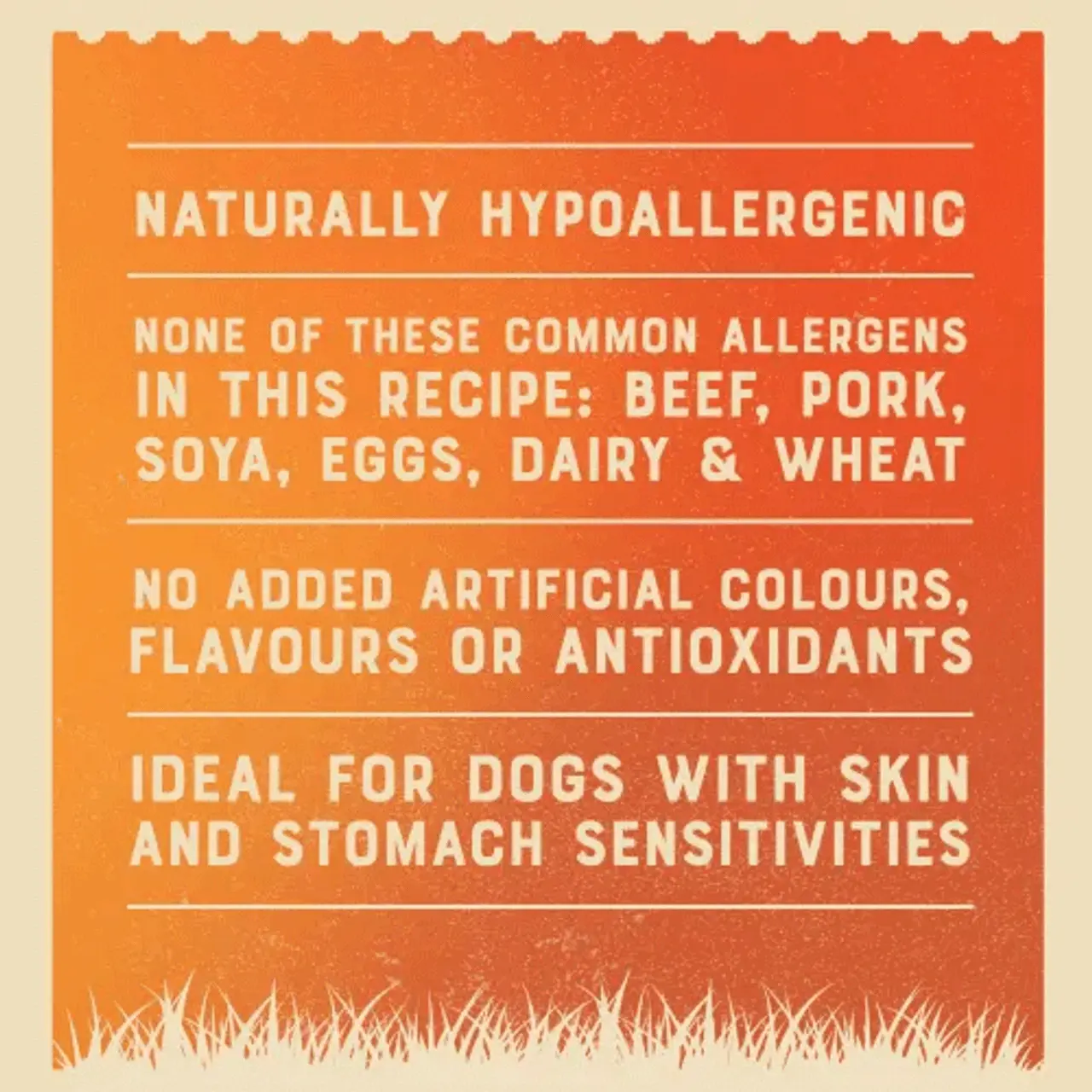 James Wellbeloved Senior Grain Free Variety Pack In Loaf Wet Dog Food 12 X 400g 7 James Wellbeloved Senior Grain Free Variety Pack In Loaf Wet Dog Food 12 X 400g - Image 5