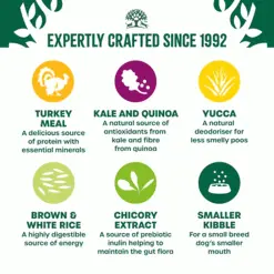 James Wellbeloved Superfood Adult Small Breed Turkey 1.5kg 13 James Wellbeloved Superfood Adult Small Breed Turkey 1.5kg -Deals Dog Food Store wellbeloved superfoods smallbreed turkey3 14148.1664197149