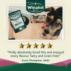 Winalot Wet Dog Food Meaty Chunks In Jelly 80 X 100g -Deals Dog Food Store winalot meaty jelly4 14262.1656503629